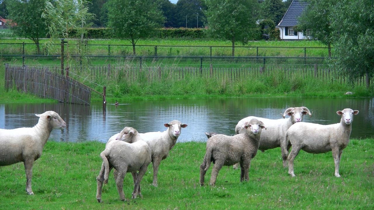 De Turfstaeker Bed & Breakfast Ospel Eksteriør bilde